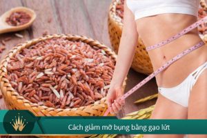 Cách giảm mỡ bụng bằng gạo lứt tại nhà Hiệu quả và Tiết kiệm cho eva