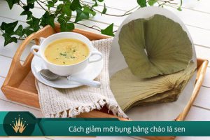 CÁCH GIẢM MỠ BỤNG BẰNG LÁ SEN TẠI NHÀ AN TOÀN – HIỆU QUẢ SAU 7 NGÀY