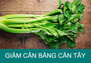 Bật mí 7 công thức giảm cân bằng cân tây đúng cách, hiệu quả, nhanh chóng