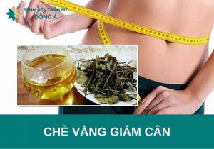 Uống chè vằng giảm cân có thật sự hiệu quả hay chỉ lời đồn?