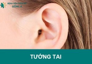Xem 15 Tướng tai Đàn ông/Phụ nữ: Dự đoán vận mệnh tương lai