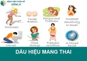 Dấu hiệu mang thai (có bầu): +34 triệu chứng sớm sau tuần đầu