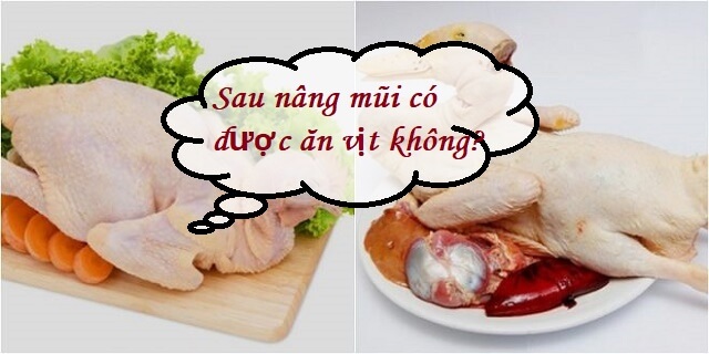 Nâng mũi có ăn được thịt vịt không?